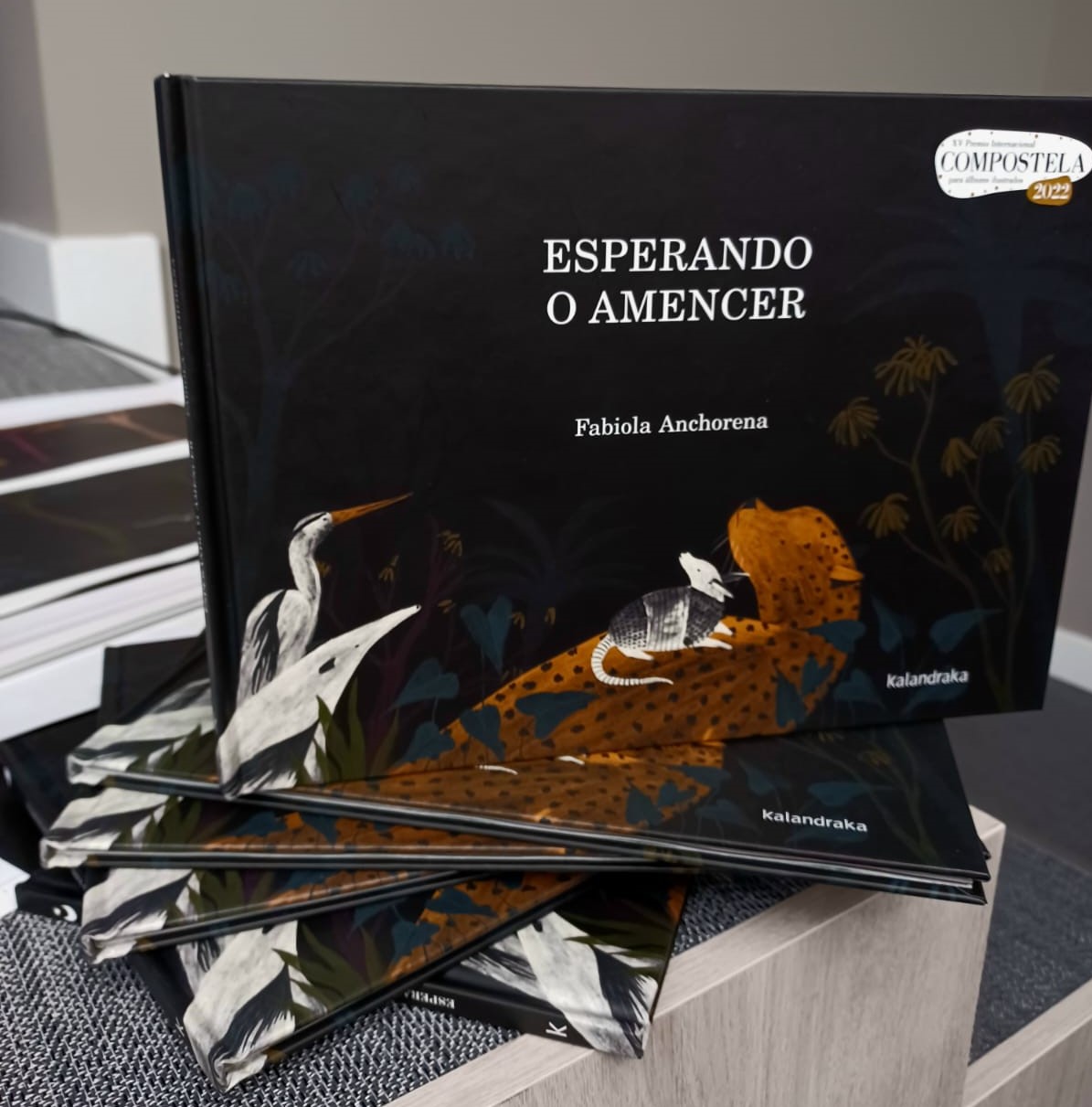 Esperando o amencer, da artista peruana Fabiola Anchorena, Premio Nacional aos Libros Mellor Editados 2022 na categoría de Libros infantís e xuvenís